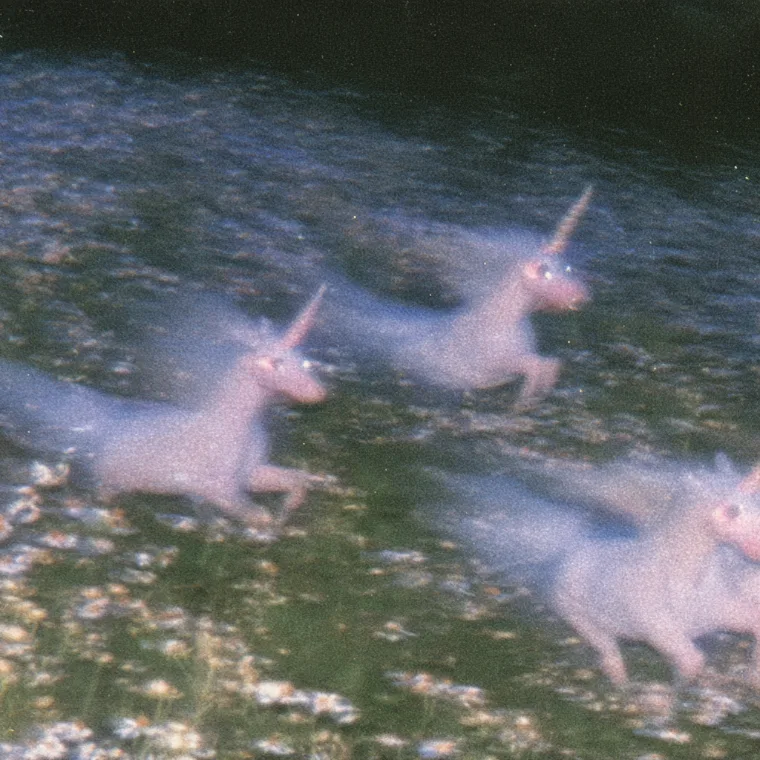 Meadow Run